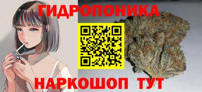 бошки Новозыбков