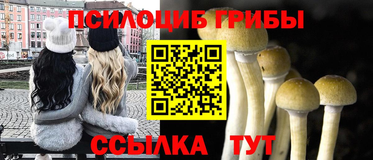 Галлюциногенные грибы мухоморы Среднеуральск