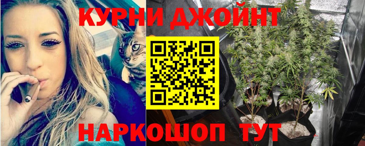 Шишки марихуана тримм  Вход с VPN  МАРИХУАНА LSD WEED  Среднеуральск 